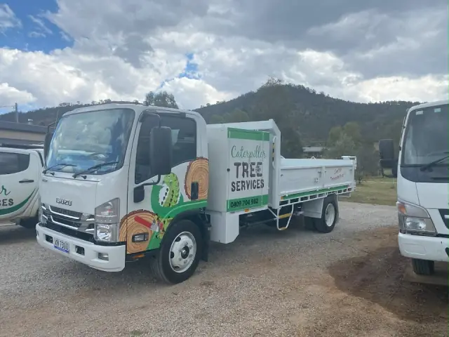 Caterpillar Tree Services