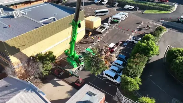 Caterpillar Tree Services cover