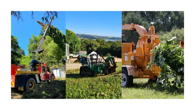 Caters Tree Care - Tree Services