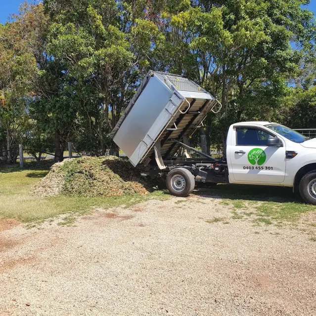Caters Tree Care - Tree Services cover
