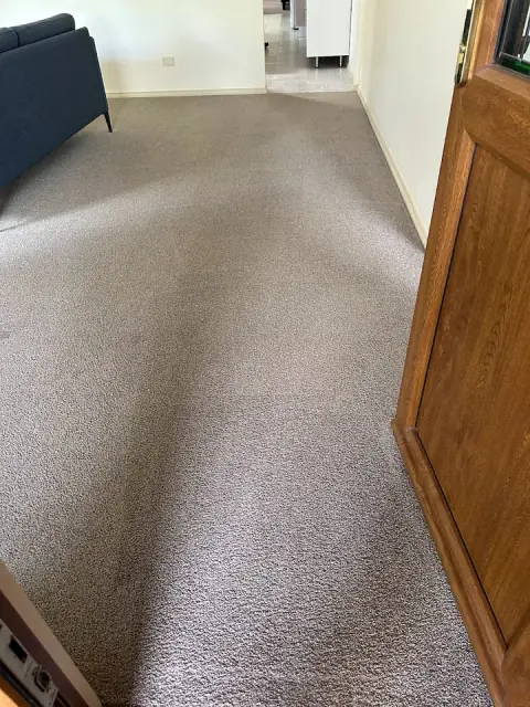 Cavanagh Carpet Cleaning