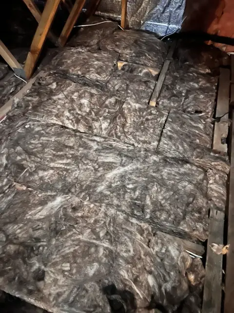 Ceiling Alert cover