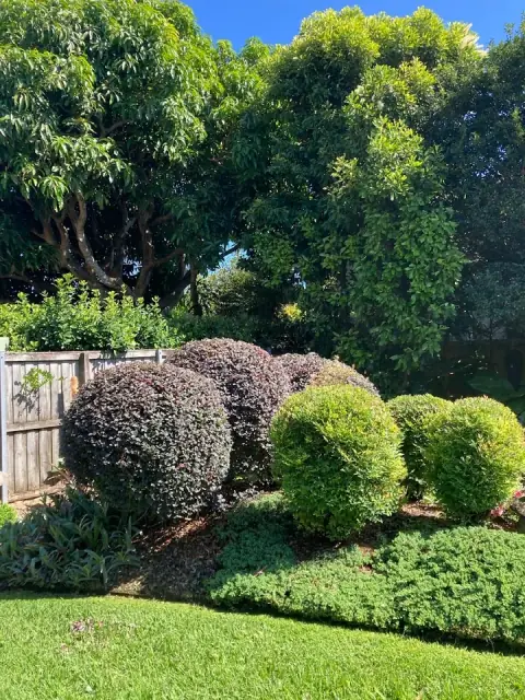CENTRAL COAST KERB APPEAL cover