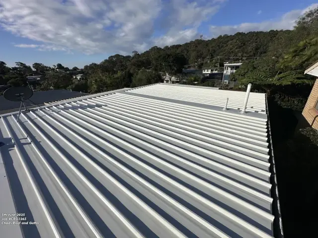 Chads Roof And Gutter cover