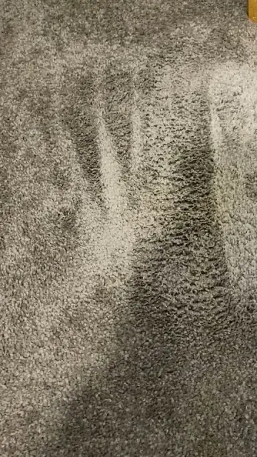 ChemDry Locals cover