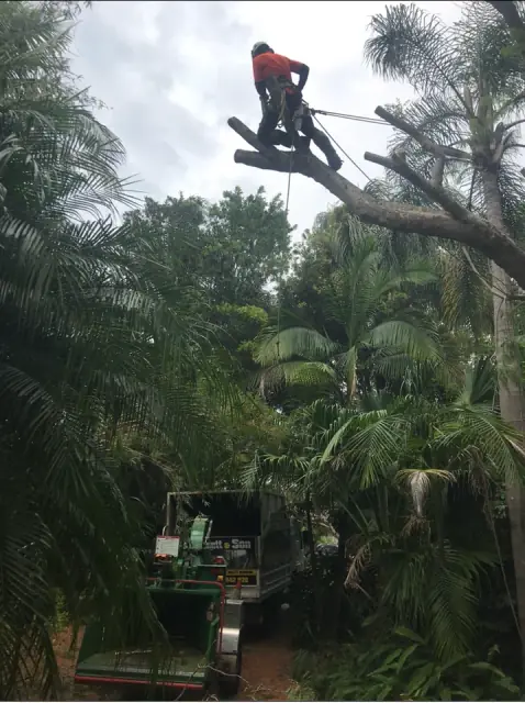 Chris Hackett Tree Services