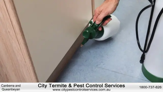 City Pest Control Services Canberra cover