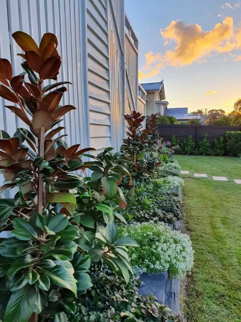 Clare James Landscape Design cover