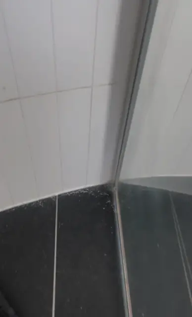 Clean Club Melbourne cover