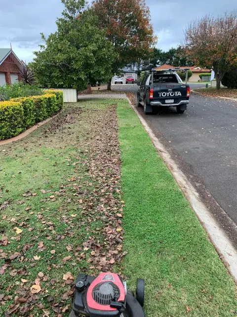 Clean Cut Lawns cover