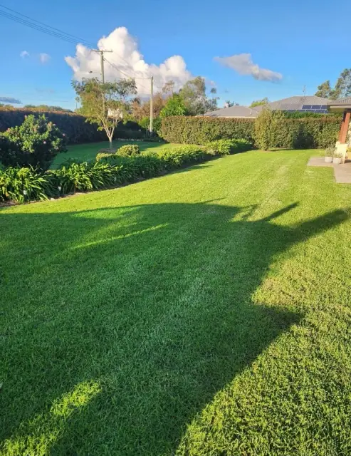 Clean Cut Lawns