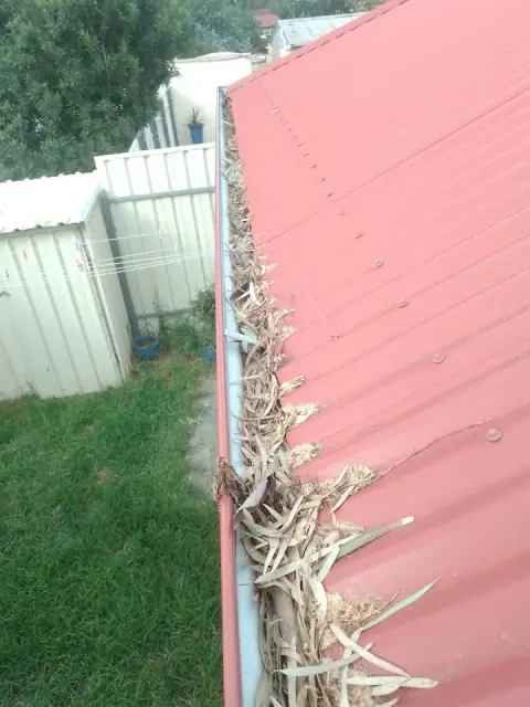 Clean Gutter Solutions SA cover