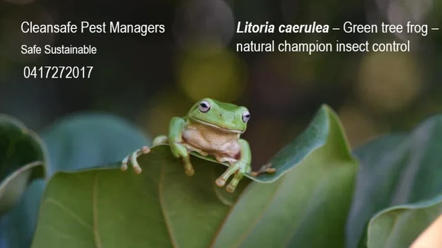 Cleansafe Pest Managers