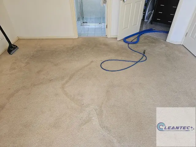 Cleantec Carpet Cleaning cover