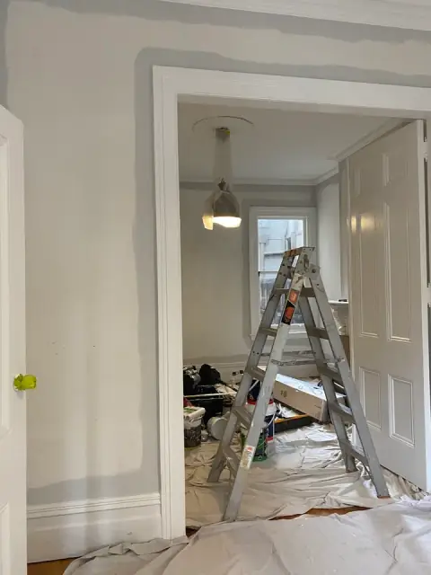 Clear Finish Painting cover