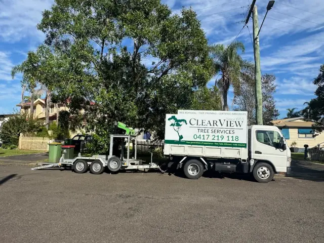 Clearview Tree Service