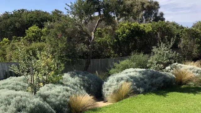 Coastal Creations Landscaping