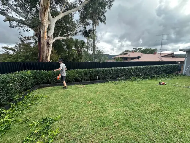 Coastal Mow Down