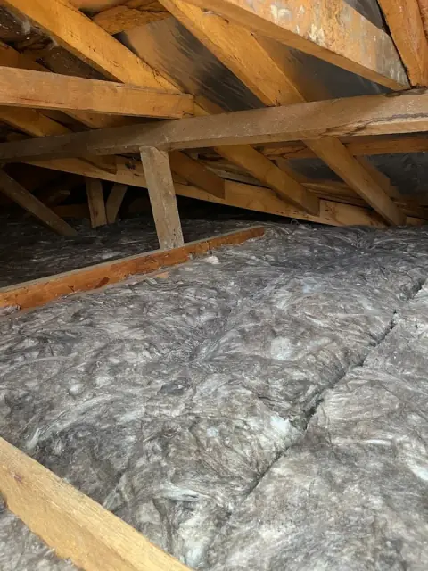 Cocoon Insulation