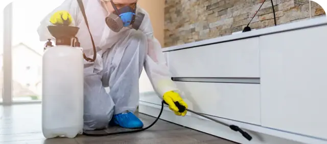 Combat Pest Management Pty Ltd | Pest Control Services in Sydney