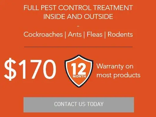 Combat Pest Solutions Brisbane cover