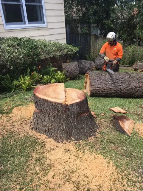 Complete Tree Experts Pty Ltd