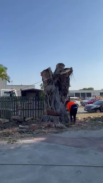 Complete Tree Management cover