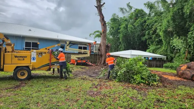 Complete Tree Management