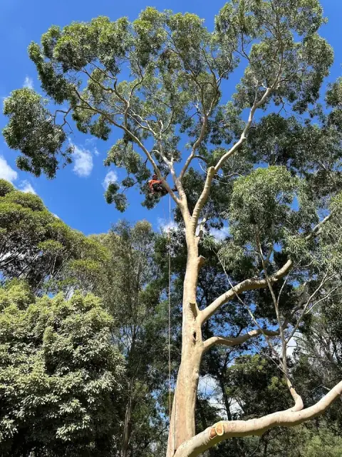 Complete Vegetation Management cover