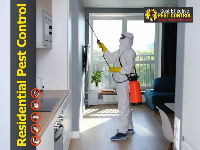 Cost Effective Pest Control cover
