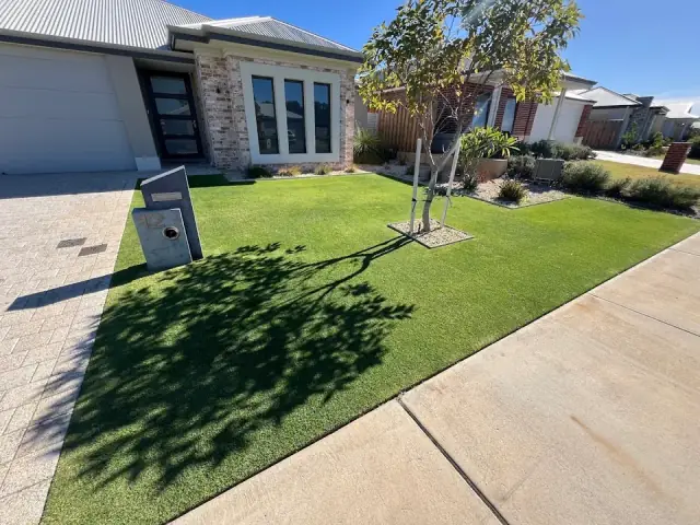 Cottons Mowing cover