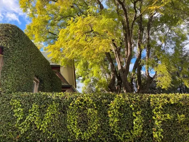 Country Yard Care