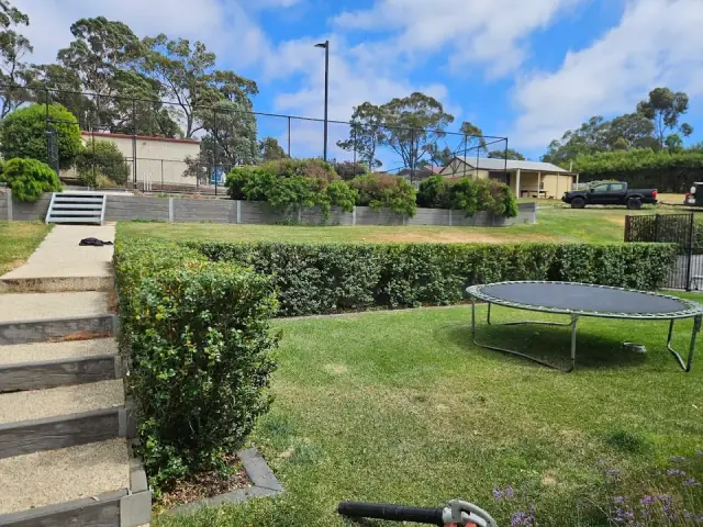 Cut'N' The Green Gardening Services cover