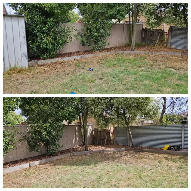Cut'N' The Green Gardening Services