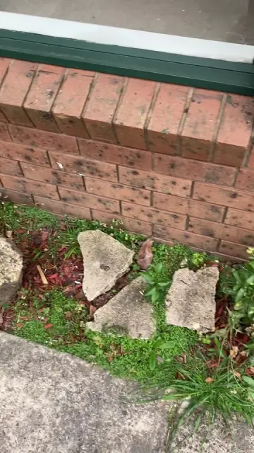 Cuttin Hedge Gardening Services cover