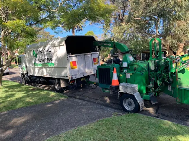 Affordable Tree Services Northern Beaches