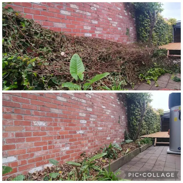 Dale's Property Maintenance (D.P.M)