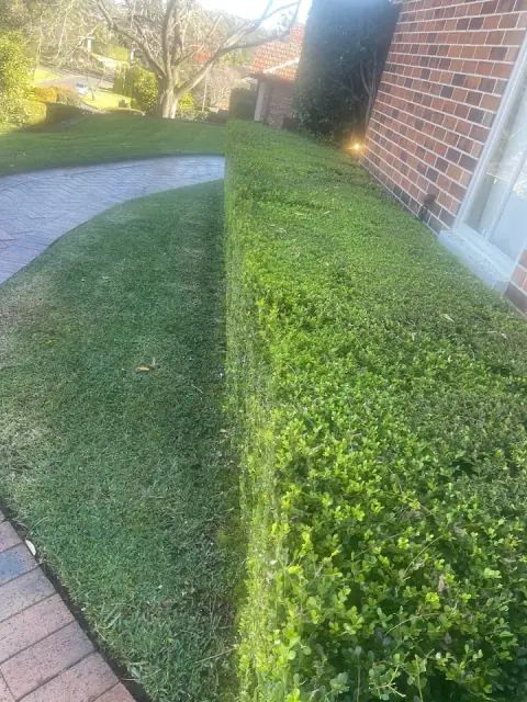 DAMAS GARDENING SERVICES