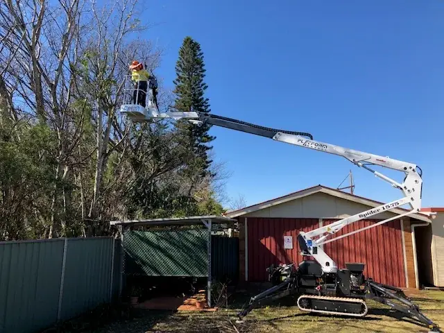 Darling Downs Tree Services