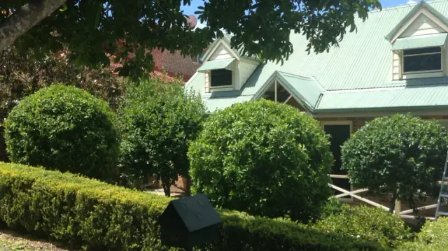 Daves Home & Garden Service