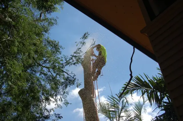 Dazza's Tree Services