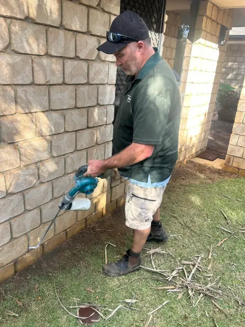DCH pest control cover