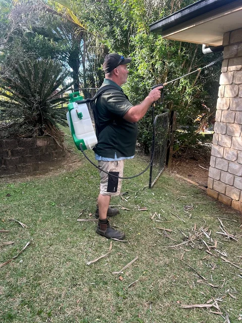 DCH pest control
