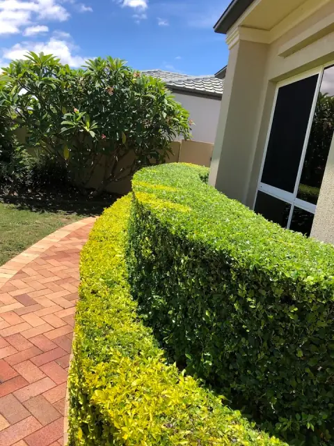 DCR Lawn Care and Gardening cover