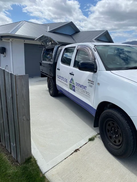 Derwent Pest Control
