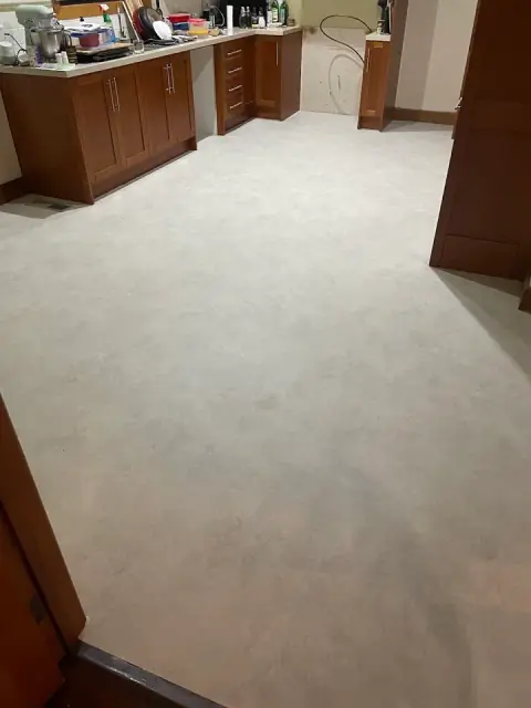 DFC FLOORING cover