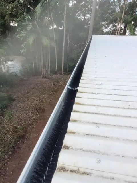 Diamond Gutter Cleaning cover