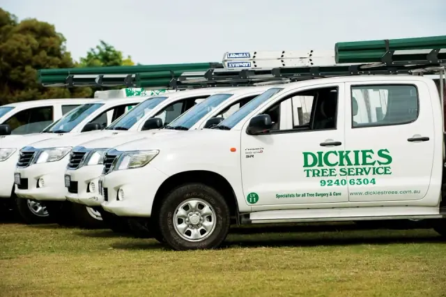 Dickies Tree Service
