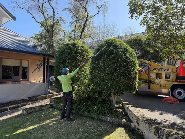 Dickies Tree Service cover