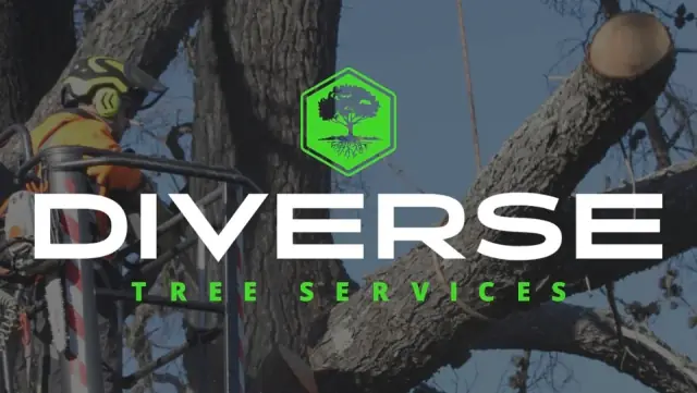 Diverse Tree Services